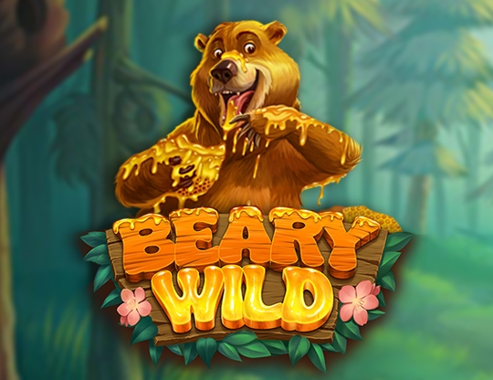 Beary Wild