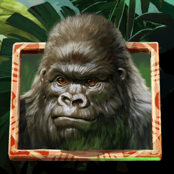 Gorilla Kingdom
