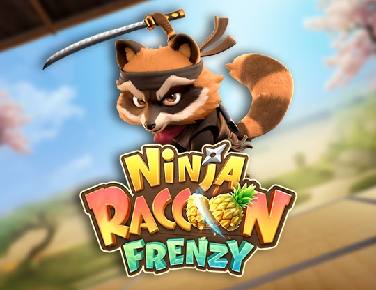 Ninja Raccoon Frenzy