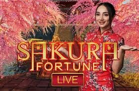 Sakura Fortune ao Vivo