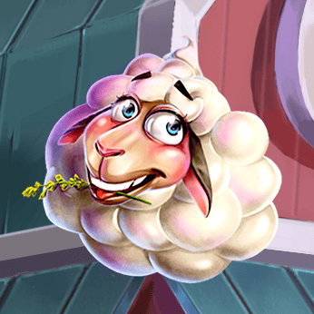 Sheep Gone Wild 