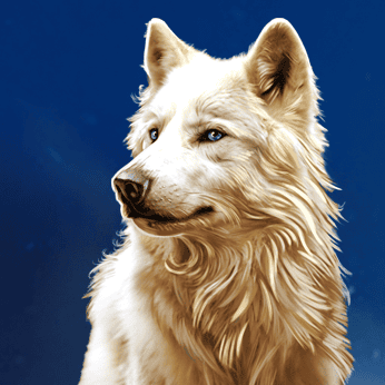 Wolf Stacks Megaways?