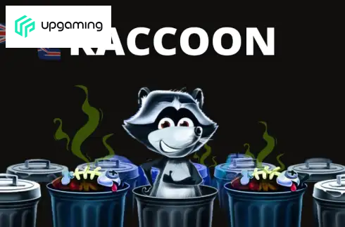 Raccoon