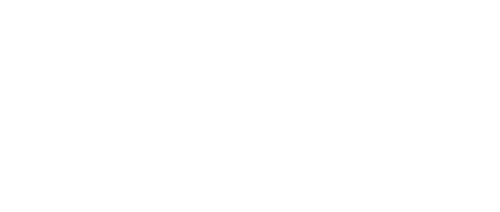 FAT PANDA