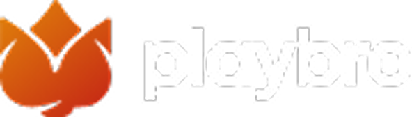 Playbro