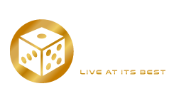Vivo Gaming