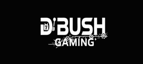 D Bush Gaming