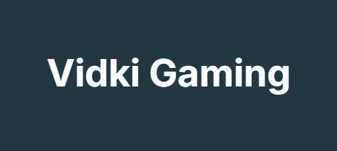 Vidki Gaming